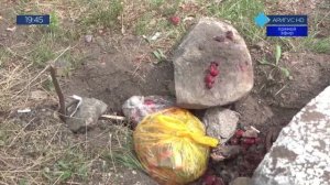 ПОЛНОЕ ПРОЦВЕТАНИЕ «СУПЕРРЕСПУБЛИКИ» В «ГОРодЕ ДЛЯ ЛЮДЕЙ» ОТ БРО «ЕДИМ РОССИЮ»