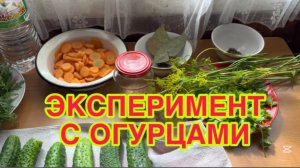 30/7 26 ВЫСТОЯТ - БУДЕТ ФИРМЕННЫЙ РЕЦЕПТ, НЕ ВЫСТОЯТ - ПОСМЕЁМСЯ  ИЛИ ПОПЛАЧЕМ.
