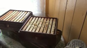 Пробуем качать первый мёд