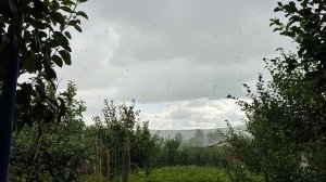 Реальный САРАТОВ 31.07.26 что происходит прямо сейчас Саратов