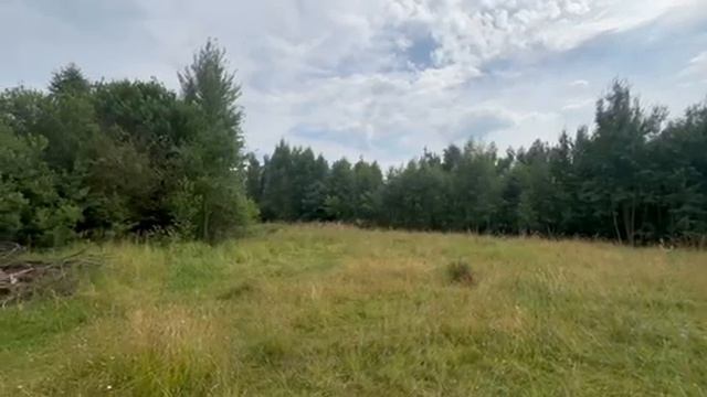 пос. Виноградово ул. Виноградова