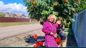 ЖИЗНЬ В СЕЛЕ:/ПРИЕЗЖАЛА СЕСТРА/ПОМЫЛА ПОЛЫ
