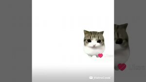 Мы с контуром братья!