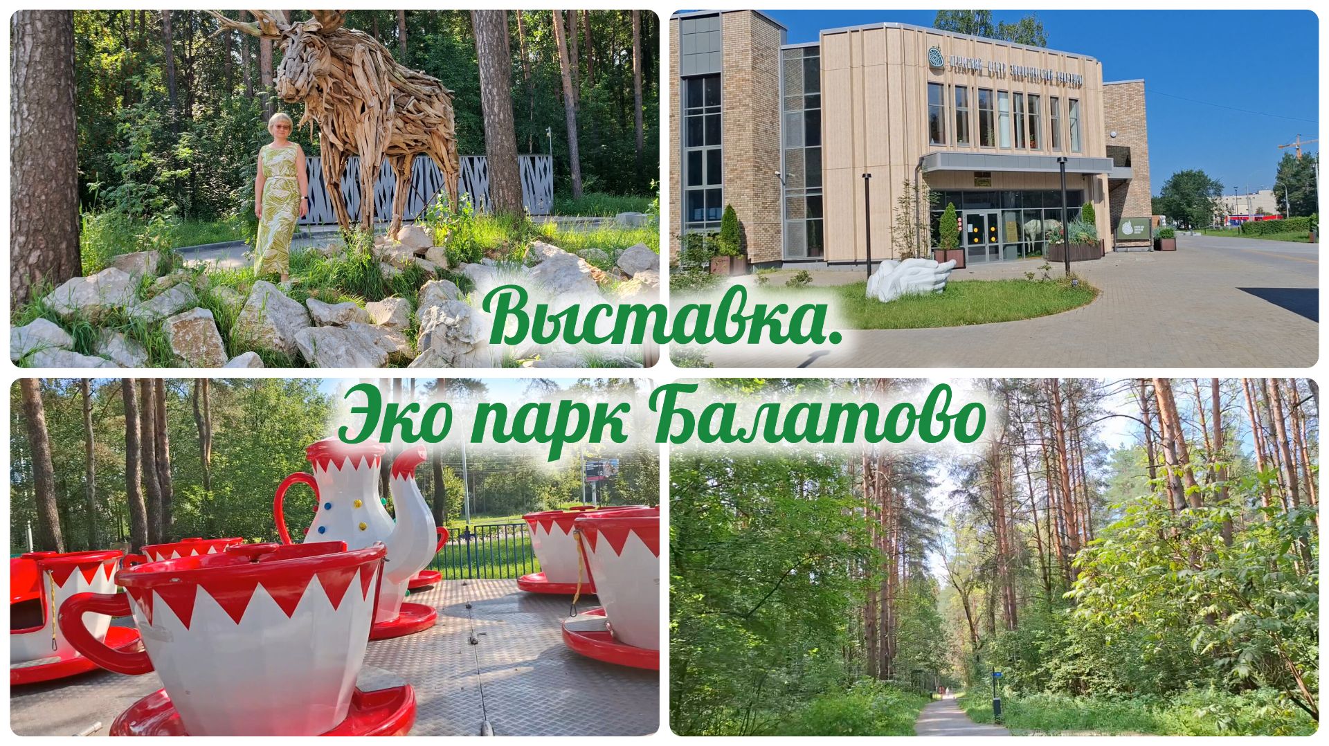 Выставка в Пермском центре экологической культуры. Прогулка по Эко парку Балатово. 30.07.26.