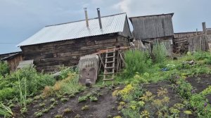 ну все крыша готова,накрыта/ двигаемся дальше печка/ про помидоры