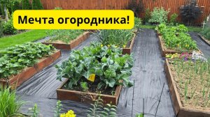Высокие грядки своими руками — урожай выше, работать проще! 👍
