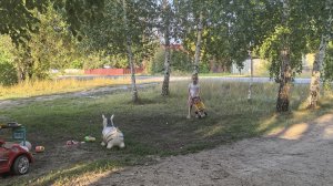 Игры на свежем воздухе