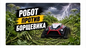 🌿 Робот против борщевика