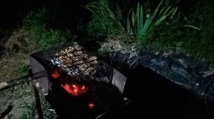 А у нас шашлыки! Потеряла Джека..
