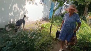 И ДОЖДЬ И СОЛНЦЕ, А ДЕЛ ПОЛНО