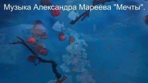 Мечты