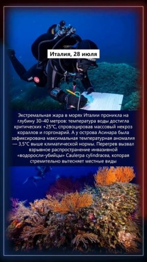 29.07.2026 Что произошло в мире