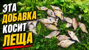 Эта ДОБАВКА нравится ЛЕЩУ,  Добавил  в корм и Лещ встал на точку. Рыбалка на фидер на реке.
