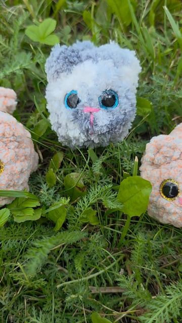 Бешеная рулетка КОТ
