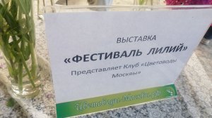 Аптекарский огород. Выставка