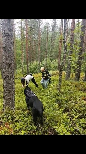 Новый вид открыт