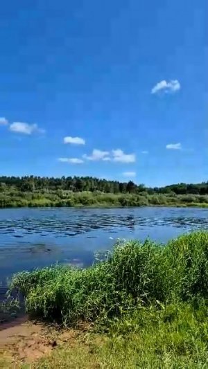 На берегу реки. Солнечно, ветрено