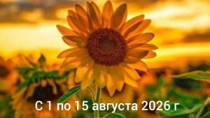 Расклады на Пасьянсе с 1 по 15 августа 2026 год