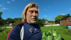 Вернулся на дачу! Огурцы, слизни и трава у дома!