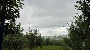 РЕАЛЬНЫЙ САРАТОВ что творится смотрим онлайн веб-камеры бесплатные