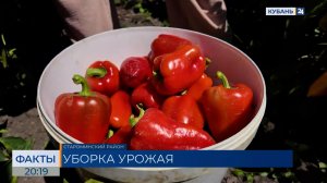 ФАКТЫ. Выпуск от 31.07.26