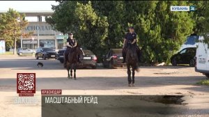 Масштабный рейд по поиску незаконных мигрантов прошел в СНТ под Краснодаром