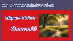 СП «Добиваю недовязы-5/2026» / Отчет 23