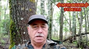 ⚡МГНОВЕНИЯ⚡ 31.08.21.3