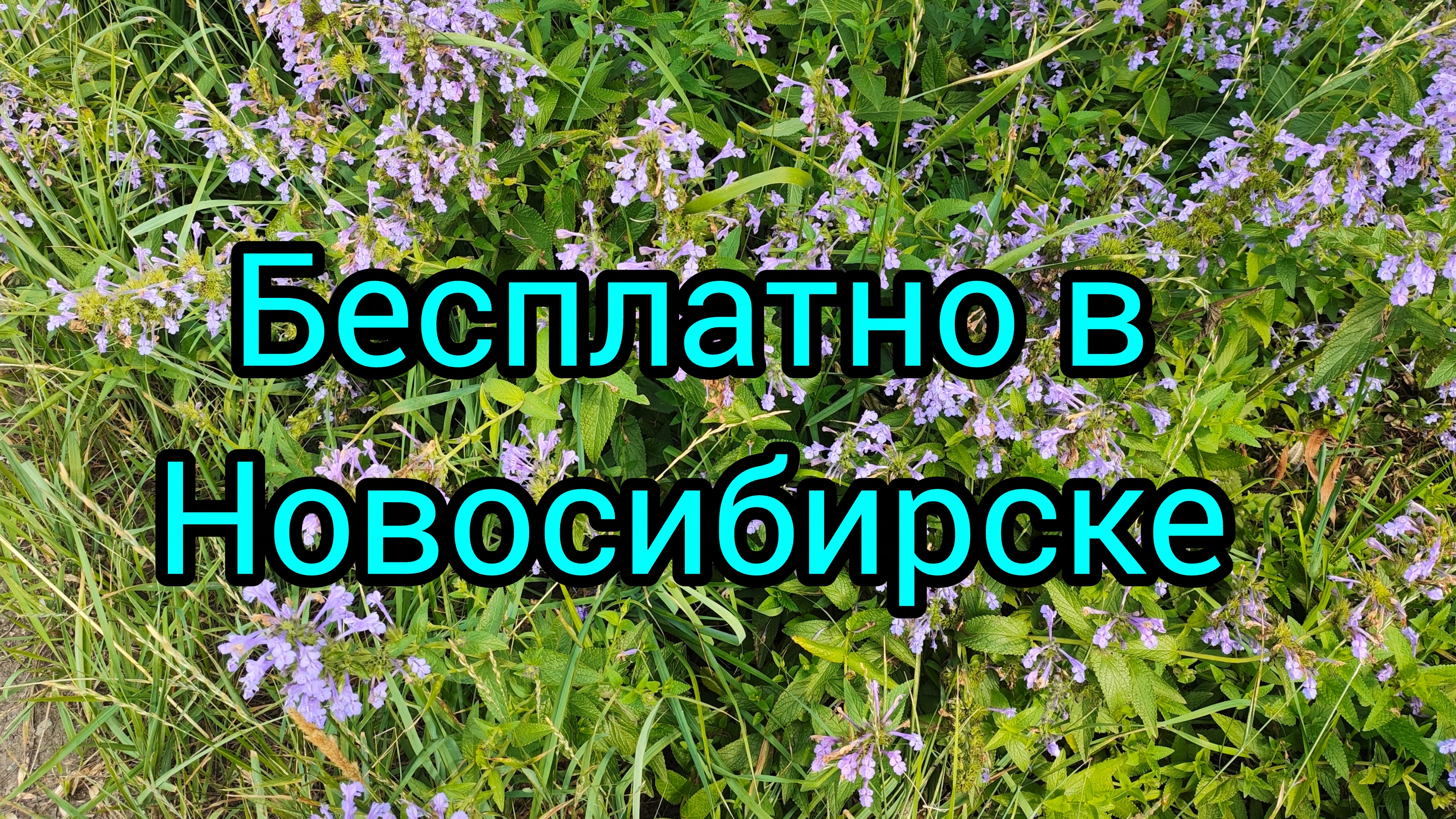 Посиделки пятничные