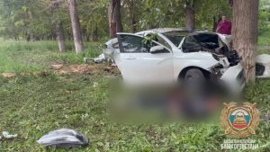 В Башкортостане водитель авто врезался в дерево, погибли два человека, включая 15-летнюю девочку
