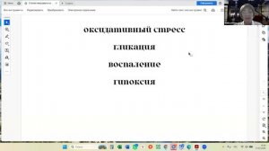 «Твоя волна здоровья: итоги первого интегративного форума»