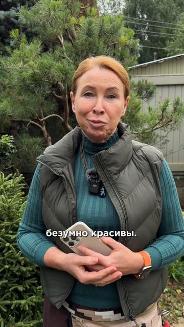 Красивый розарий – очень красив, что тут спорить)