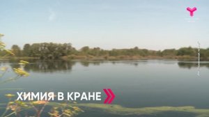 «Вечерний хэштег. Главное»: итоги недели. Анонс выпуска от 01.08.2026