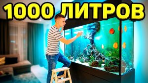 Чистка ОГРОМНОГО аквариума на 1000 литров: как это было!