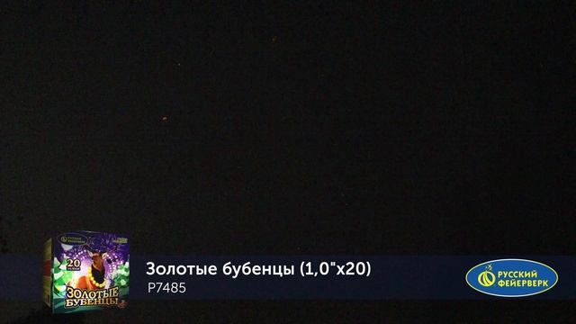 P7485