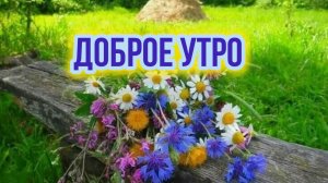С добрым  летним утром. Красивая музыкальная открытка.