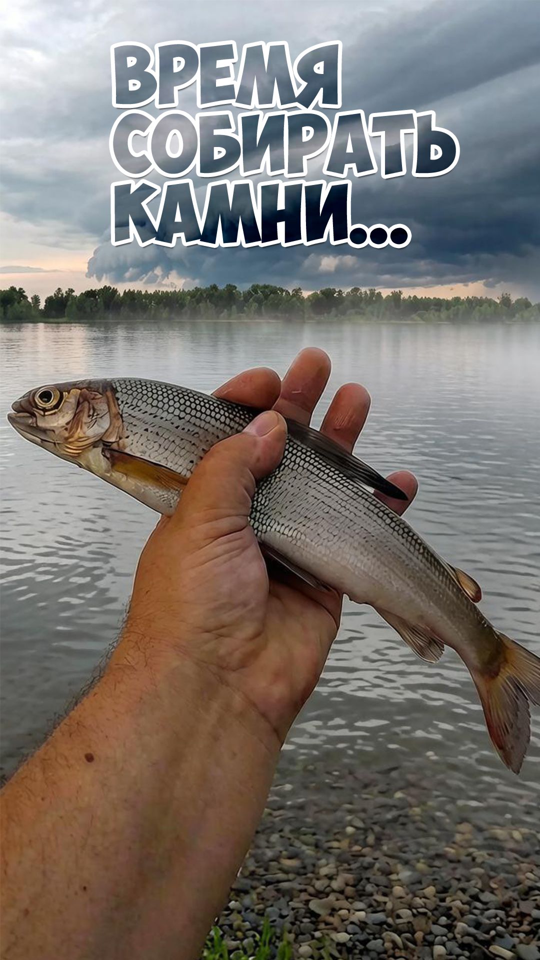 Время собирать камни.