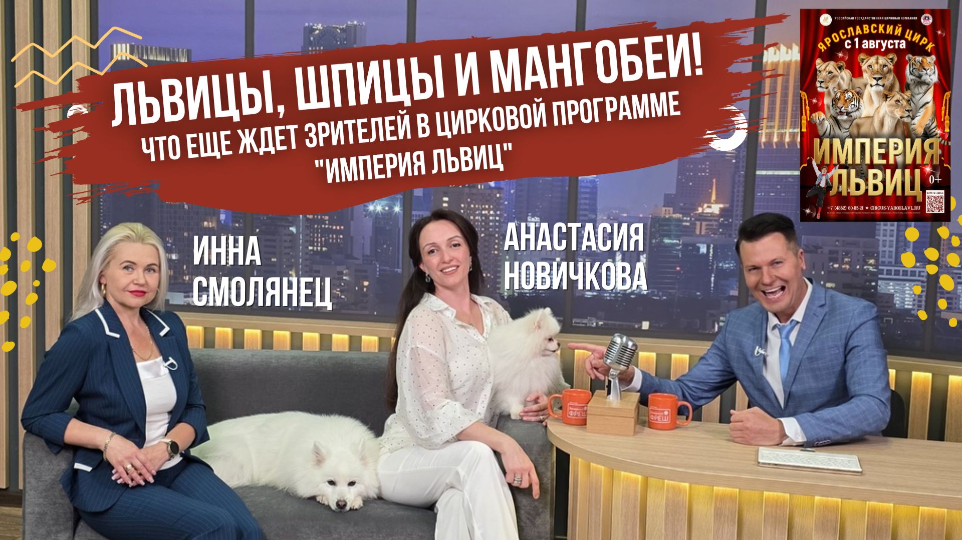 Львицы, шпицы и мангобеи! Что еще ждет зрителей в новой цирковой программе "Империя львиц"