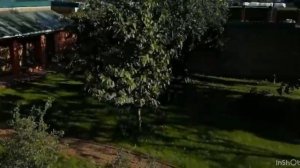 VID-20260728-WA0217
