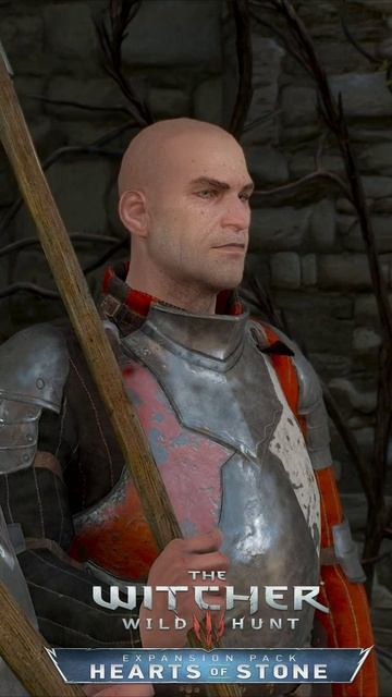ТЫ БЫЛ ДОБРЕЕ... Шани и стража. Кто сеет ветер Witcher 3 Hearts Of Stone #shorts