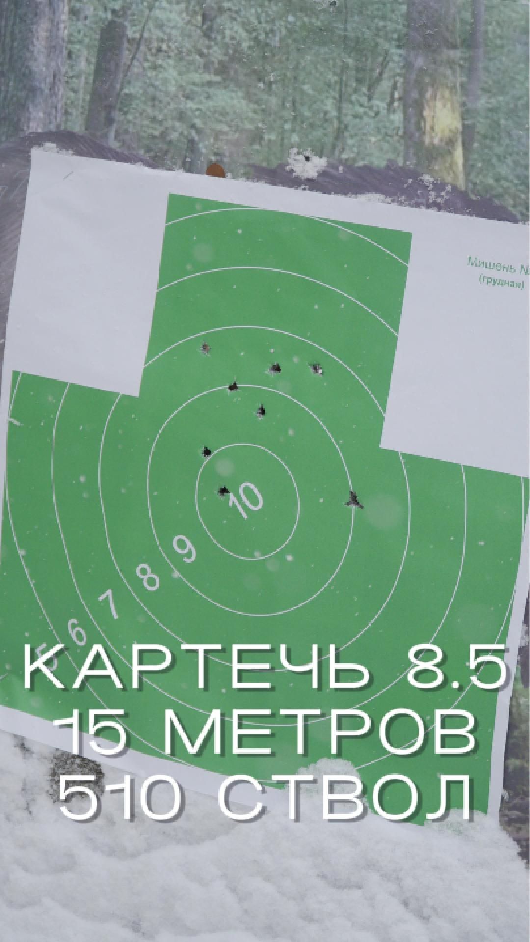 КАРТЕЧЬ 8.5