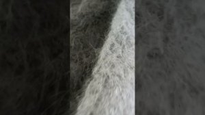 89507716355 Пуховые, ласковые, ажурные платки. Видео отзыв моей покупательницы Наталии.