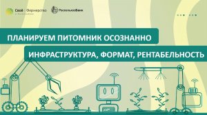 Планируем питомник осознанно: инфраструктура, формат, рентабельность