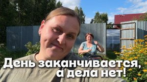 Продолжаем делать огородные дела, пока погода позволяет