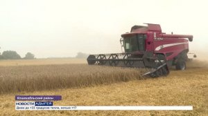 Информационный выпуск Майкопского телевидения  31.07.26