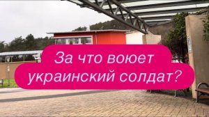 Это не пропаганда, это просто жизнь. Когда всё и все идут ко дну. #новости #украина #россия