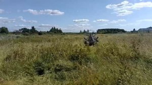 Аэролодка Дракон 460 95 sair с поддувом , по высокой траве в обычном  поле