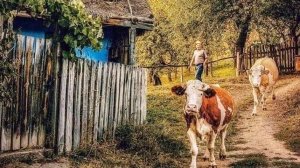 ЕСЛИ В ДУШЕ КОЛХОЗ,ТО ПОМЕЧТАТЬ МОЖНО..Деревня.