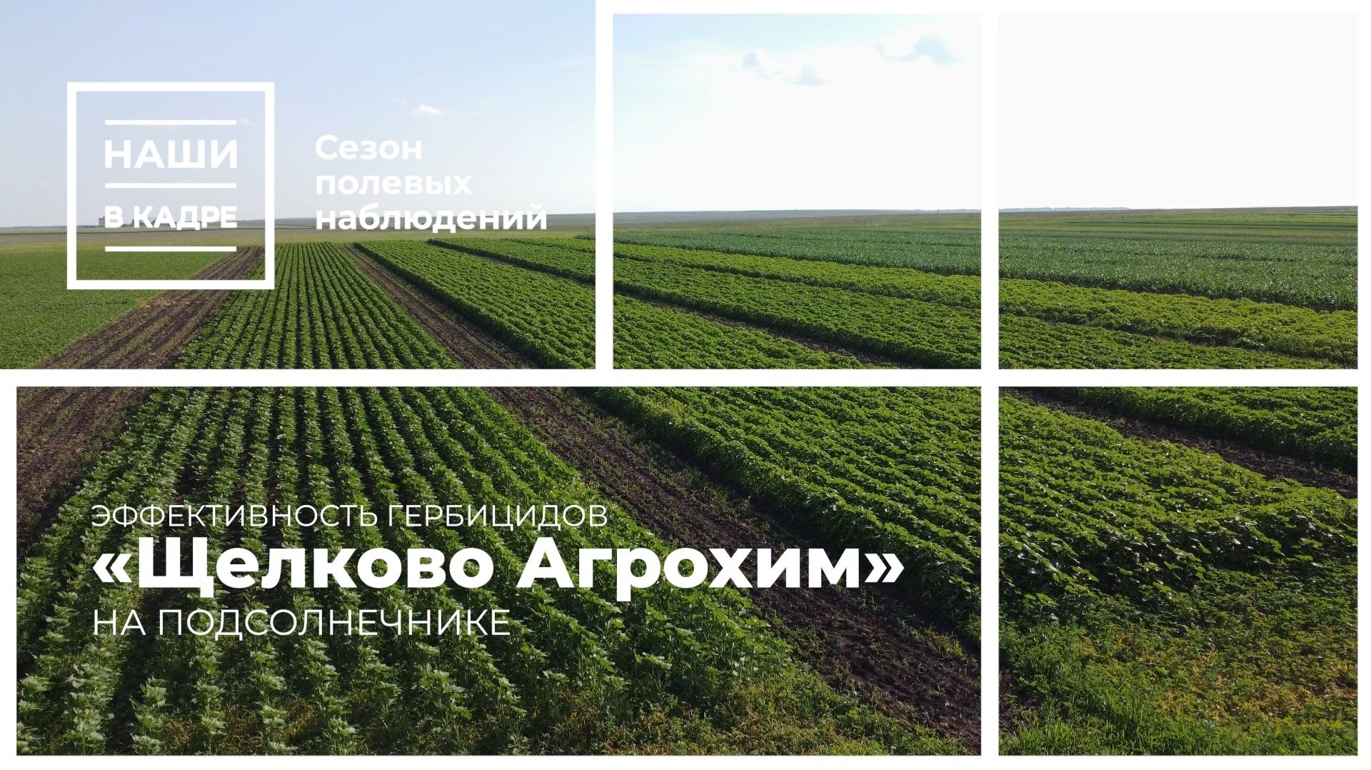 Чистое поле — лучший аргумент!