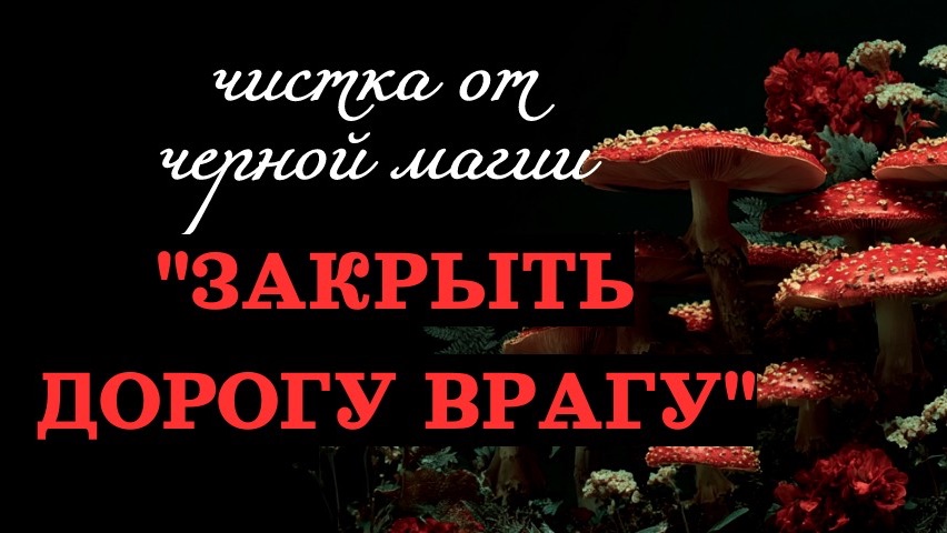 ЗАКРЫТЬ ДОРОГИ ВРАГУ (И НЕ ТОЛЬКО)